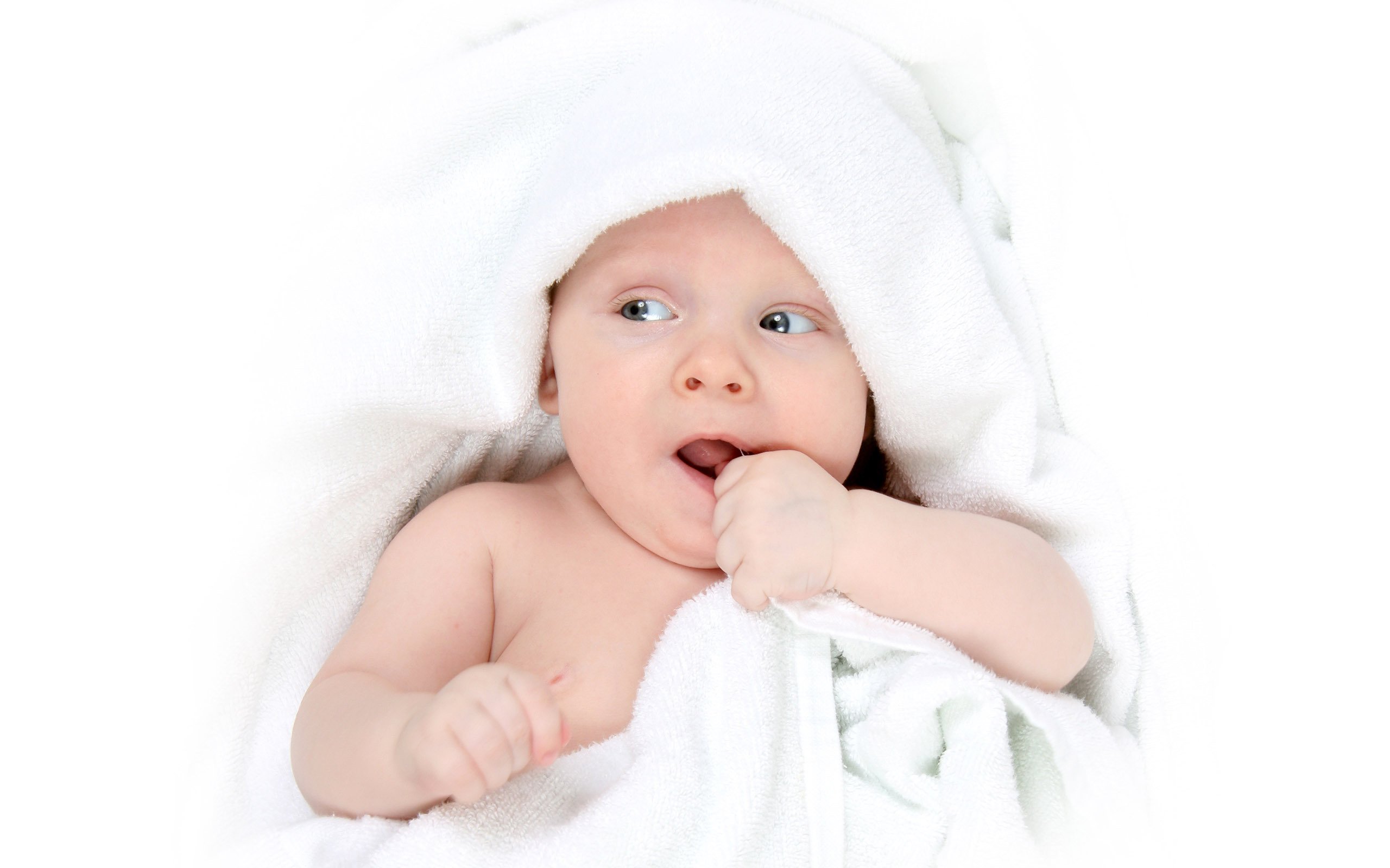 莆田捐卵代怀试管婴儿成功率是多少